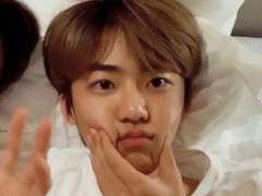 고양이 보고 갈래? TALK