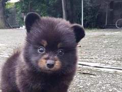 ㅋ ㅣ워쥬ㅅㅔ요!♡ ssul