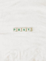 샛별에 빈 소원