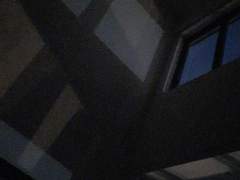 3. 주에 가중치를 두는 삶을 시도함