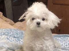 [NCT] 시티캠퍼스.KAKAOTALK 18