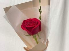 당신에게 장미꽃 한 송이를 선물합니다