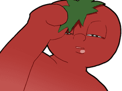 마비노기 입문 가이드