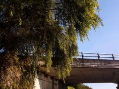 [명헌동오] 내놔, 네 사랑