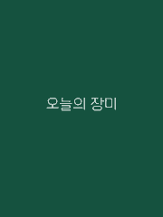 오늘의 장미