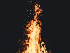 감정 소각장 일지