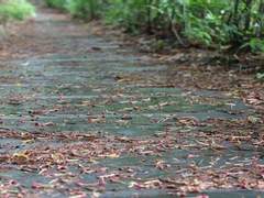 살아야 할 이유가 없으면 죽음도 두렵지 않다