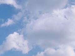 푸른빛의 여름을 닮은 아이