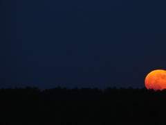 지표면을 자유롭게 떠돌 수는 있겠지만 우리는 결국 그곳을 벗어날 수 없다