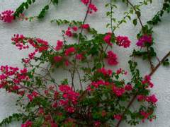 우리 일 대부분은 그럴듯한 나를 위한 것들뿐