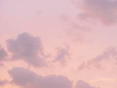 나의 여름에게 2