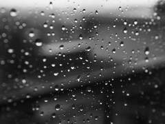 종뱅,상뱅,빵준,탯은,인신창 / 환승연애 13