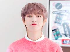 빙하기 사건 종료