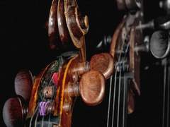 진리는 특별한 어떤 것도 주지 않는다