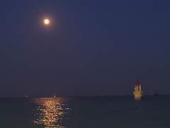 [뜰팁/주작조] 누가 신뢰를 주래?