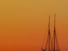 거짓 진리를 자랑스럽게 말하고 다니지 말라