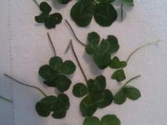 아름다움은 우리가 함께일 때 가능했다.