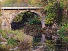 진리가 지켜 주는 것은 우연성뿐이다