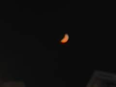 개방병동 일기(43일간의 입원,그리고 퇴원)