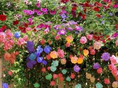 힘 있는 자들의 선심 쓰는 듯한 평등은 필요없다