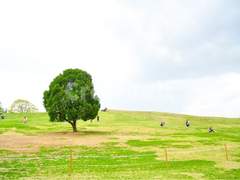 1994년 4월 18일 사주풀이