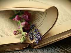 모든 것을 평등하게 생각하는 아이에게 어른들이 교육하는 것은 불평등을 야기하는 이기심뿐이다