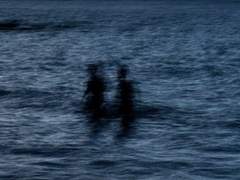 절대 죽을 것 같지 않았던 네가 죽었다.