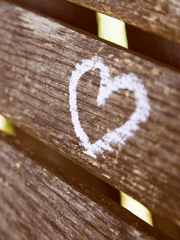 첫, 사랑의 일지