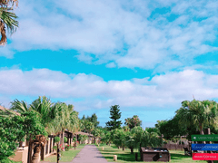 시선이 멈추는 곳 12