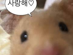 🚨🚨🚨생존신고🚨🚨🚨