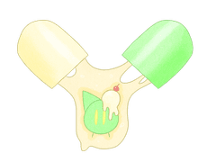 큐블 개체리스트