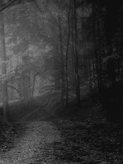 림컴 공포 시리즈 백업