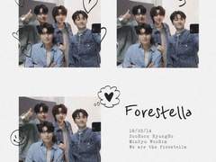 We are the Forestella