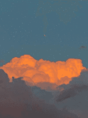 미드나잇 로맨스