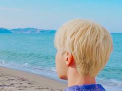 極 楽 浄 土(극락정토). 十