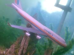 중경삼림(重慶森林)