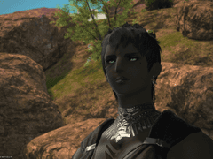 6.3 스크린샷 백업