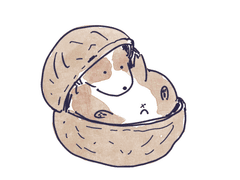 동물 그림 백업