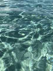 최종수는 왜 고상언을 따라 하는 거지? 