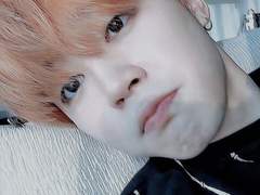 소유욕 쩌는 보스 전정국 X 순딩순딩한 대딩 박지민