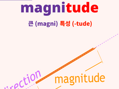 magnitude