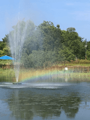 이쪽 세상 속에서의 나