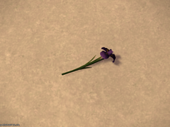 1~2차 지인 한정 글 커미션/연성교환 안내글