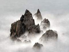 뚜렷하고 강렬한 목표는 삶의 근처에 죽음이 맴돌지 못하게 할 것이다