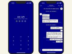 431. Blue Screen 02 none