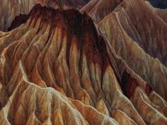 죽음은 이성 영역이 아니라, 감성 영역이다