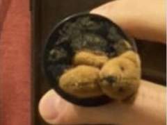 [셔누] il suo caffè_1