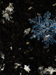 짧은 이야기들.