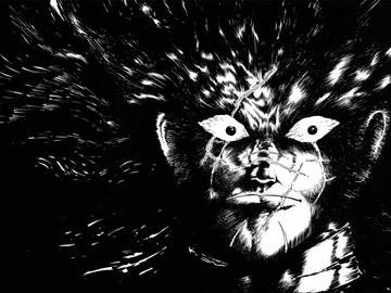 5000광년의 호랑이