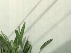 트위터 / 스핀스핀